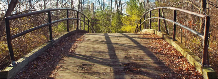 Header image of a bridge